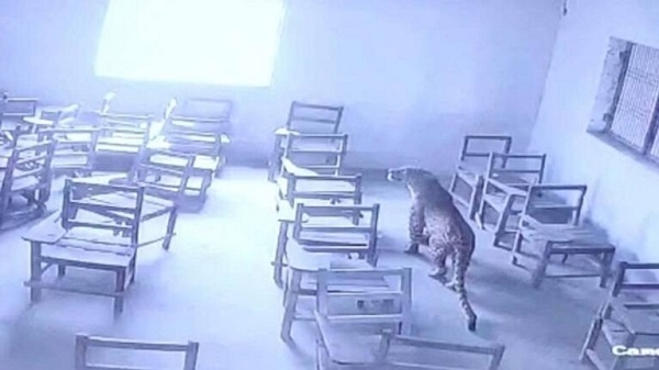 الصورة من "تويتر"